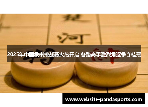 2025年中国象棋挑战赛火热开启 各路高手激烈角逐争夺桂冠
