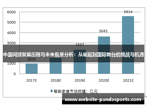 中国网球发展历程与未来前景分析：从崛起到国际舞台的挑战与机遇