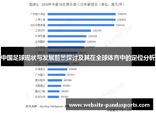 中国足球现状与发展前景探讨及其在全球体育中的定位分析